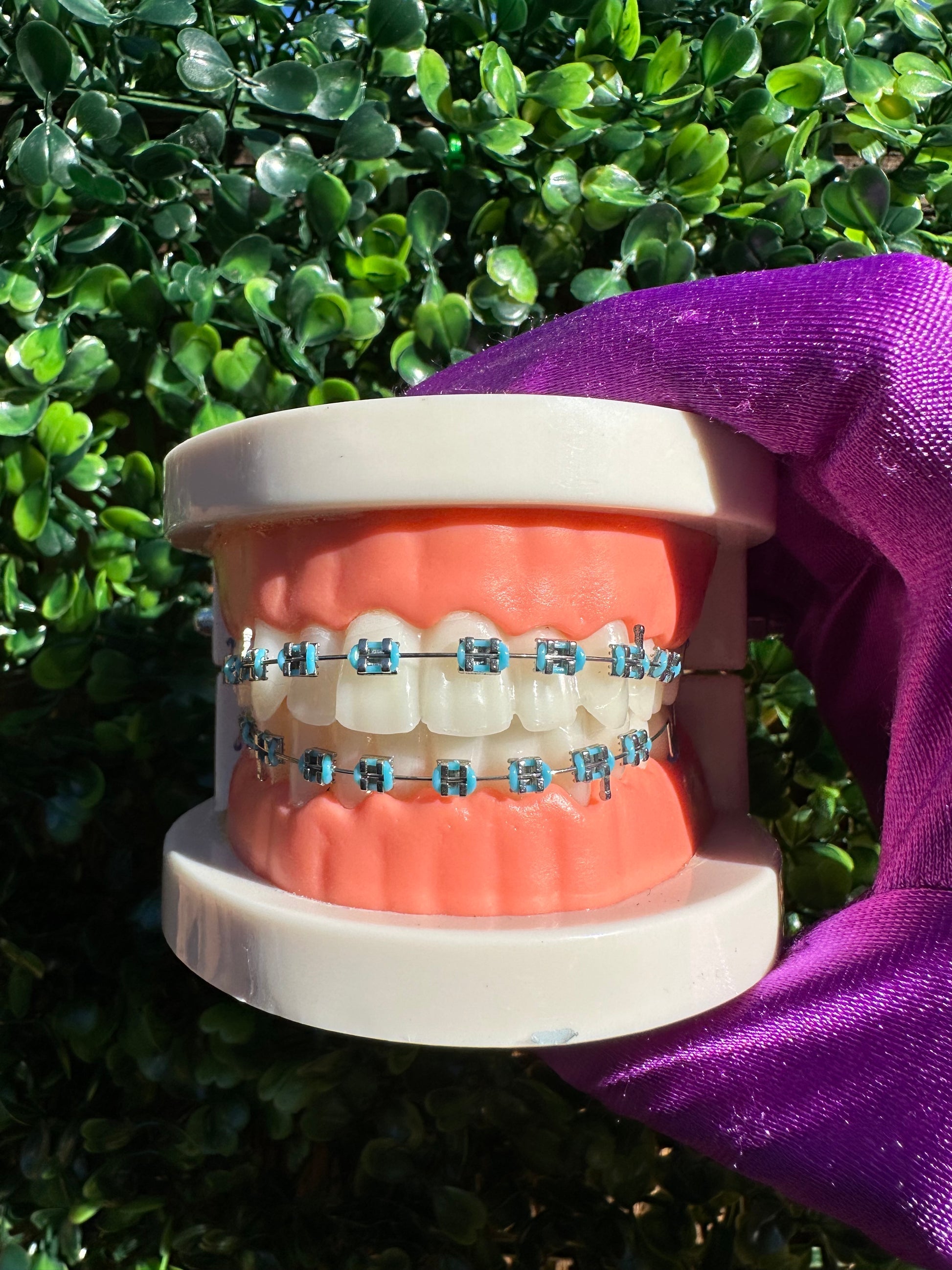 Olinaa® Clip-on Braces
