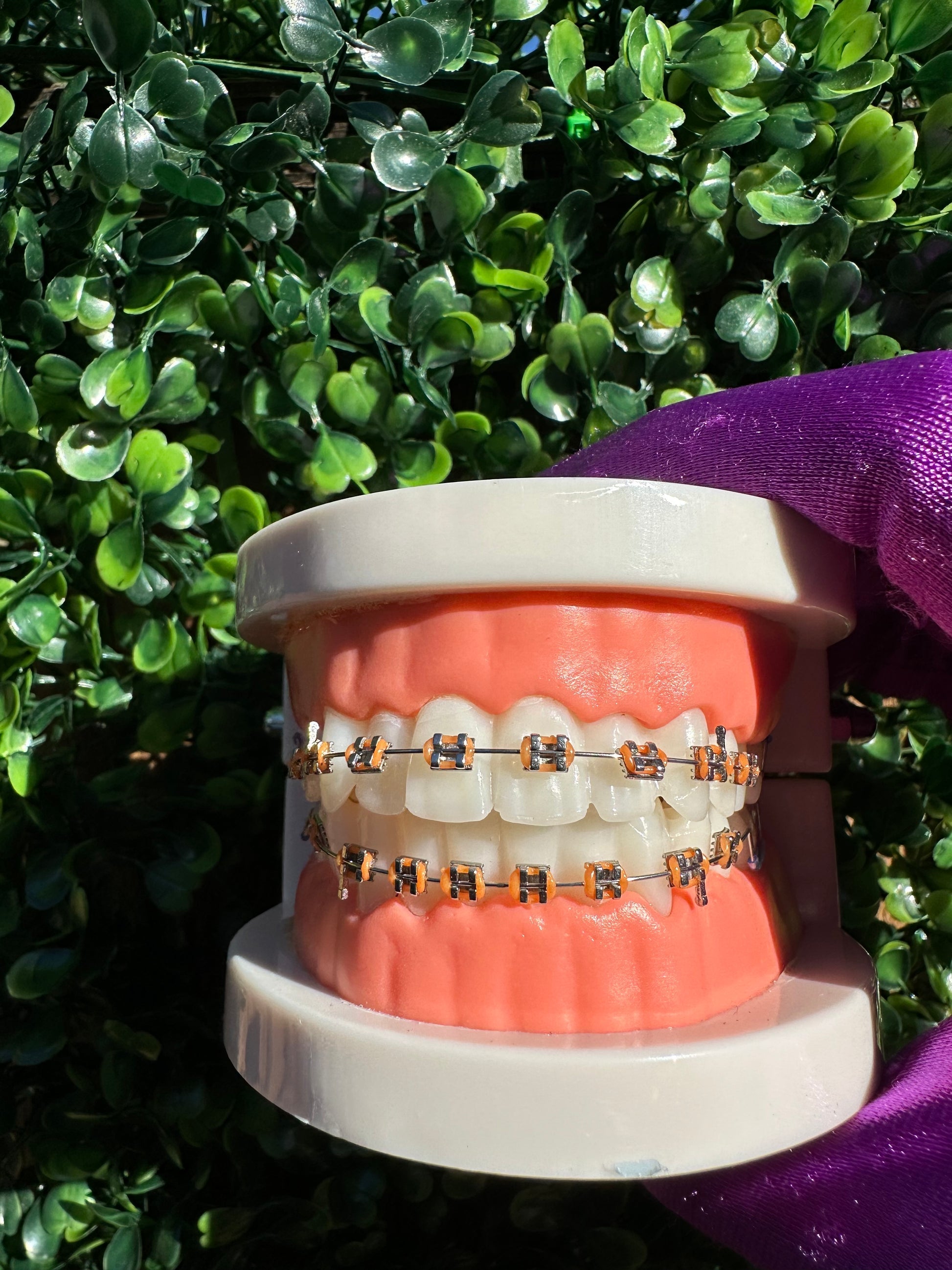 Olinaa® Clip-on Braces
