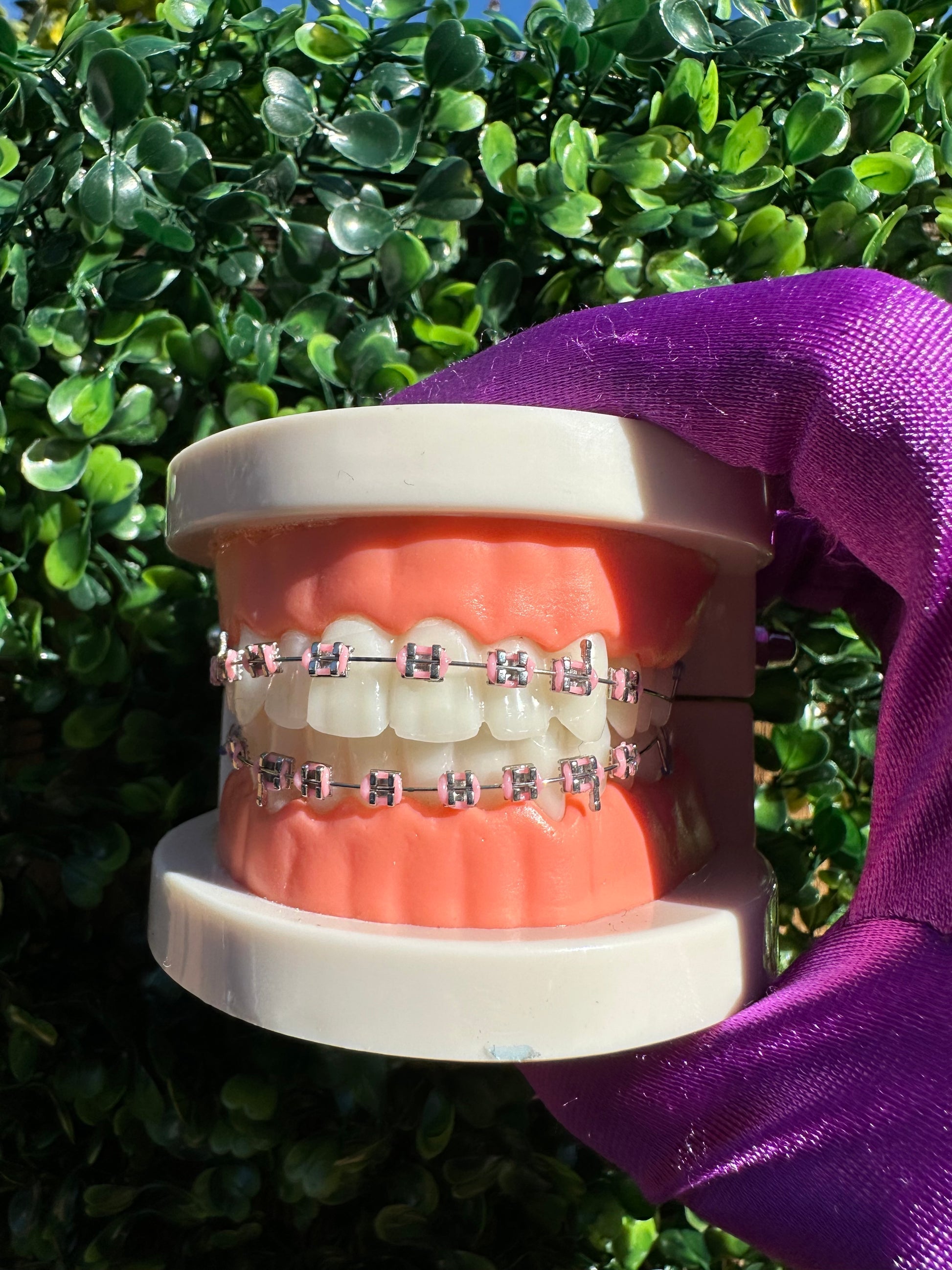 Olinaa® Clip-on Braces