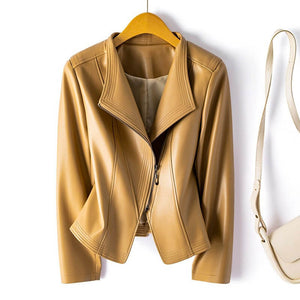 Warm Beige