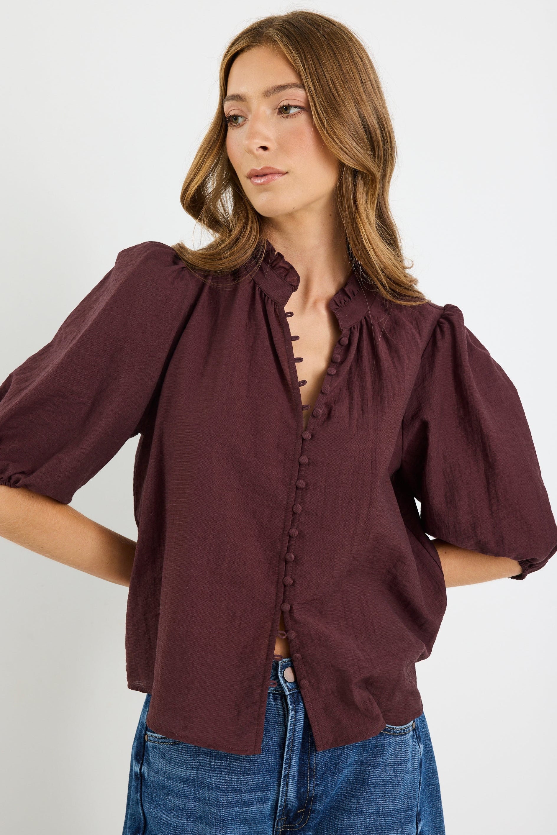 Sophie | Romantic Semi Sheer Puff Sleeve Blouse