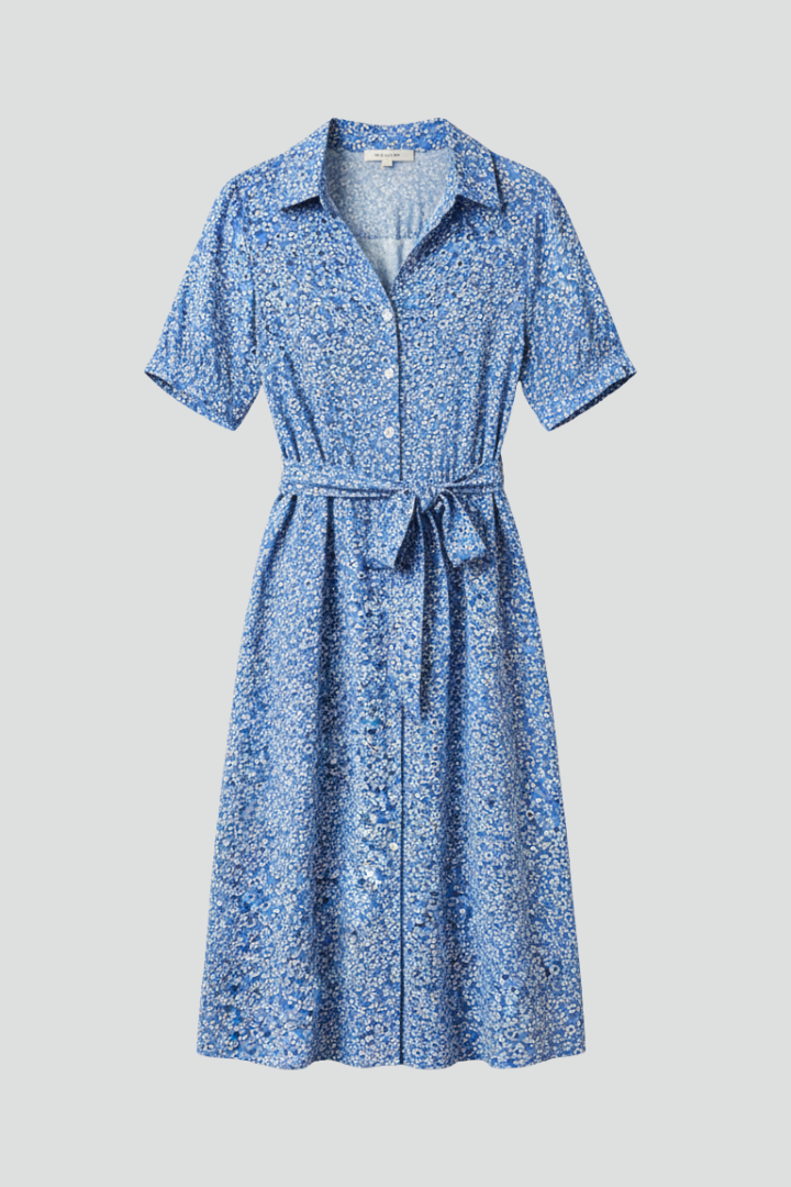 Lila | V Neckline Button-Down Dress