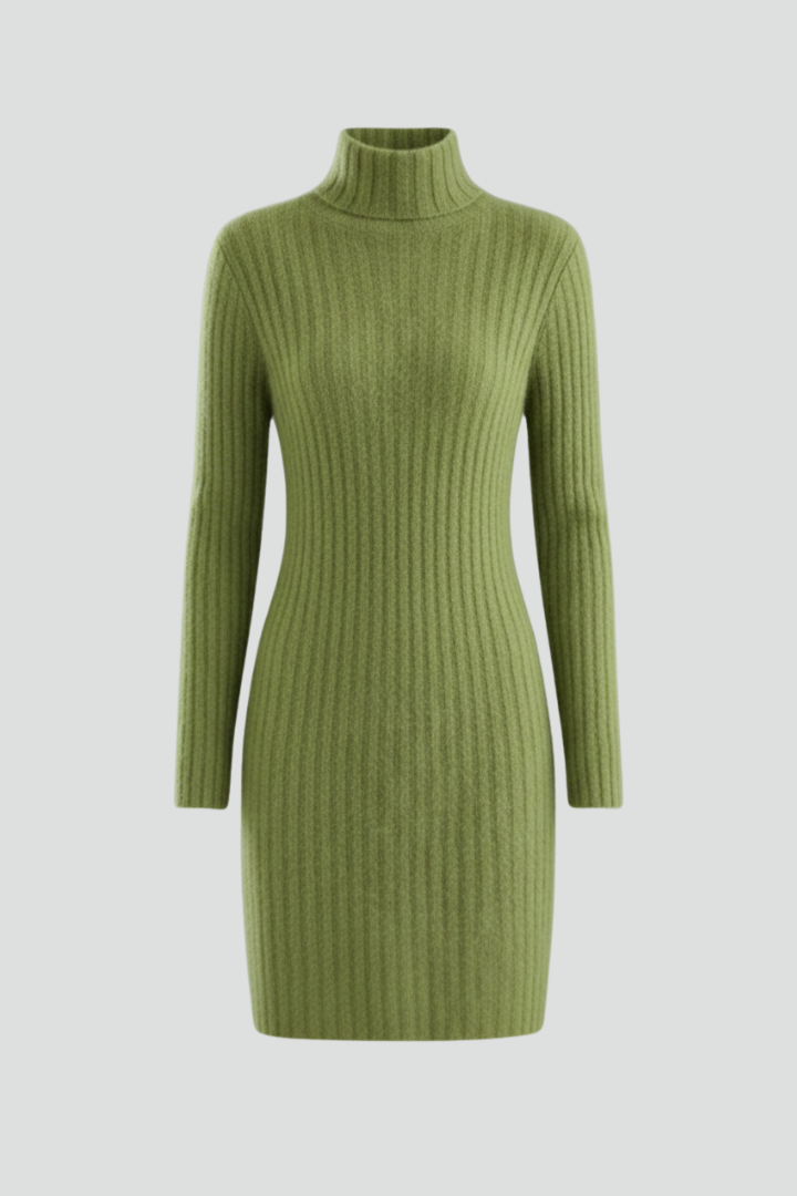 Lena | High Neck Long Sleeve Mini Dress