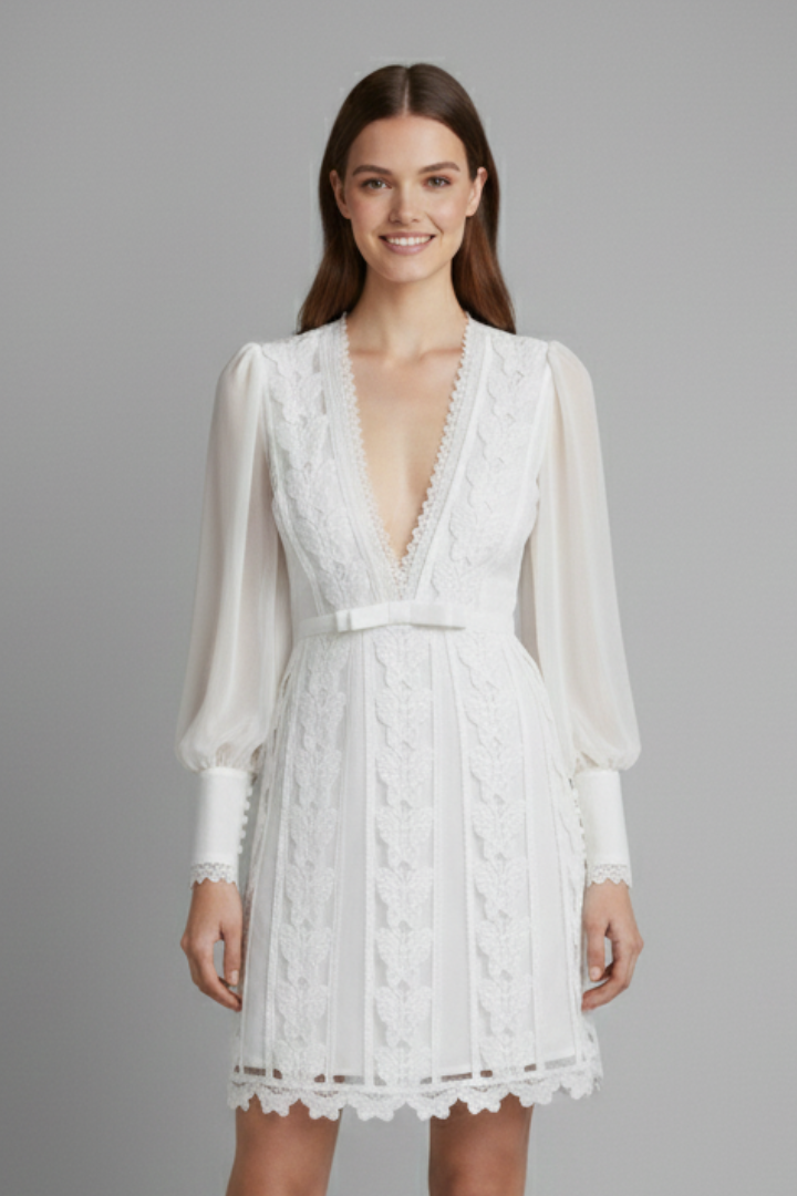 Lena | V Neck Long Sleeve Mini Dress