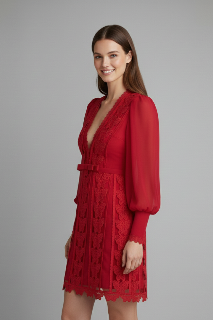 Lena | V Neck Long Sleeve Mini Dress