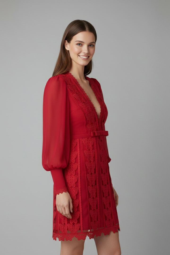 Lena | V Neck Long Sleeve Mini Dress