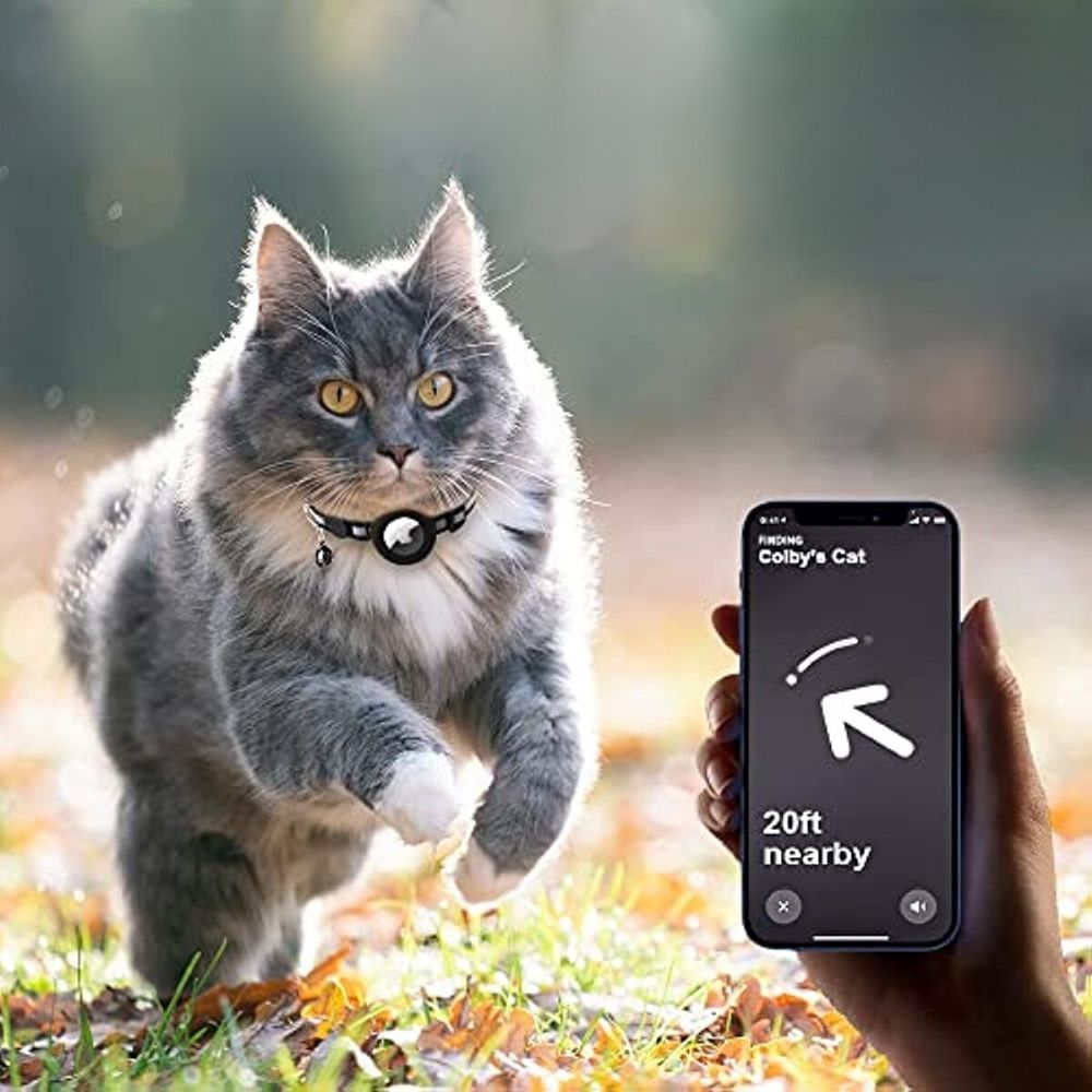 Kira | Reflective GPS Cat Collar